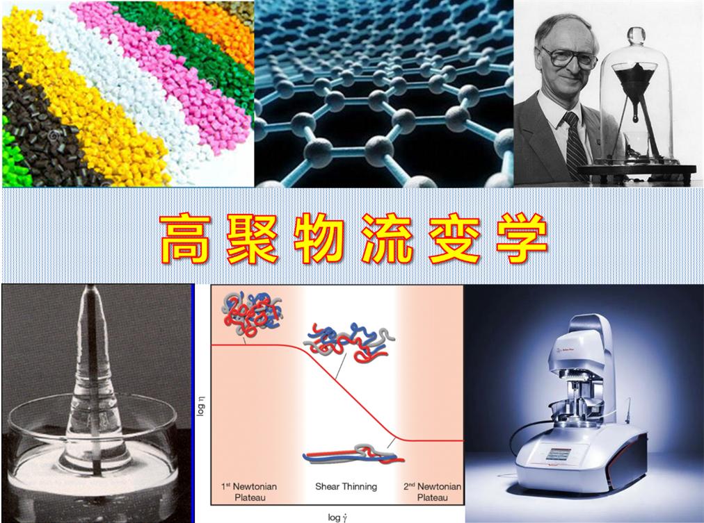 体育博彩