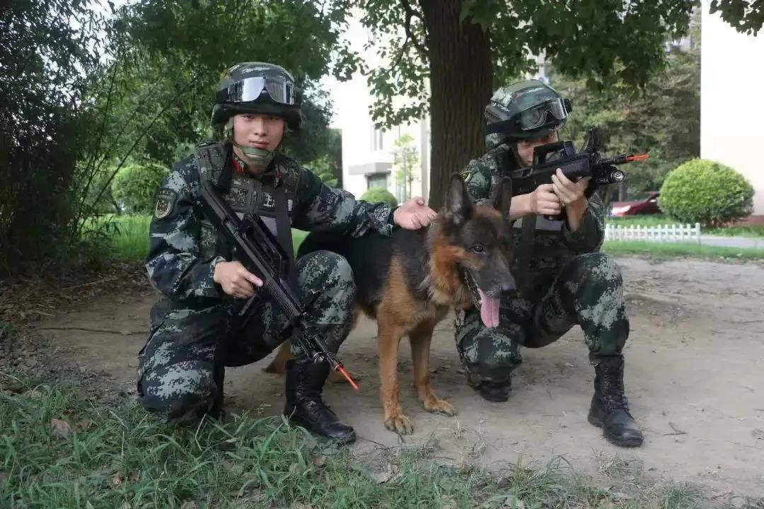 体育博彩